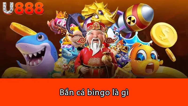 Bắn cá bingo là gì