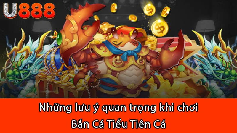 Những lưu ý quan trọng khi chơi Bắn Cá Tiểu Tiên Cá