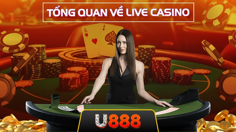 Tổng quan về live casino